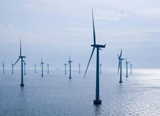 Acestea vor fi cele mai profitabile afaceri ecologice din urmatorul deceniu