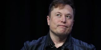 Elon Musk, Greenspan-ul criptomonedelor