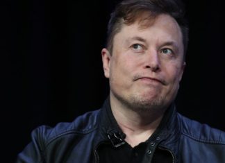 Elon Musk, Greenspan-ul criptomonedelor