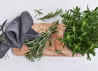 9 ierburi pe care le poti folosi ca tamaie