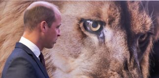 In primul sau discurs in calitate de Print de Wales, William isi arata sustinerea fata de fauna salbatica