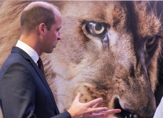 In primul sau discurs in calitate de Print de Wales, William isi arata sustinerea fata de fauna salbatica