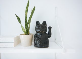 Plante feng shui pentru prosperitate si abundenta