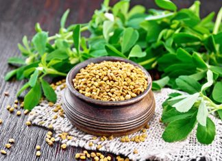 Puternicul schinduf, utilizarile si proprietatile sale