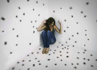 Tipuri de fobii: explorarea tulburarilor de frica