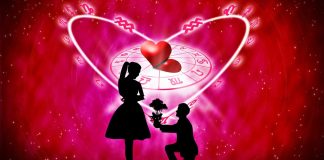 Varsator si Taur: compatibilitatea celor doua zodii in plan profesional si personal
