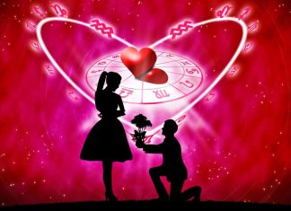 Varsator si Taur: compatibilitatea celor doua zodii in plan profesional si personal