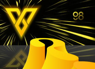 Valkyrie Protocol (VKR) Token: Ce este, cum se cumpara si pretul?