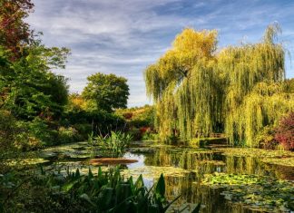 10 cele mai frumoase gradini din Europa de vizitat