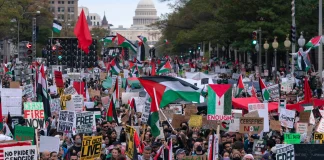 Activistii pentru pace din Israel isi reevalueaza pozitia fata de razboi