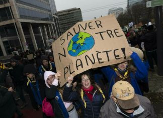 Presedintele COP28 starneste proteste la conferinta climatica a Natiunilor Unite