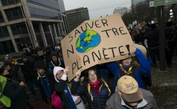 Presedintele COP28 starneste proteste la conferinta climatica a Natiunilor Unite