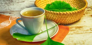Pentru ce este ginkgo biloba? Proprietati si utilizari